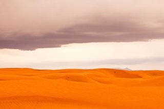 Item #27724 Photo. Sand Dunes near Hanksville, Utah. Nilauro Markus