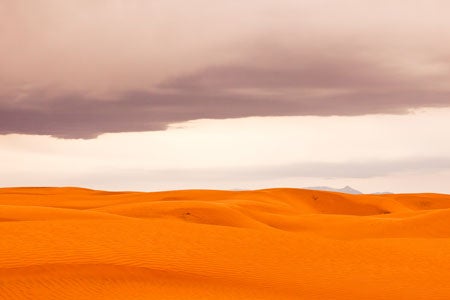 Item #27724 Photo. Sand Dunes near Hanksville, Utah. Nilauro Markus.