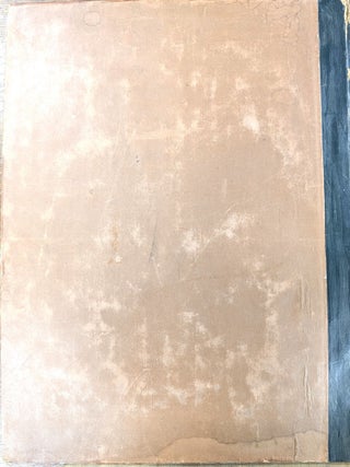 Fossil Foot-Marks in the Red Sandstone of Pottsville, Pennsylvania