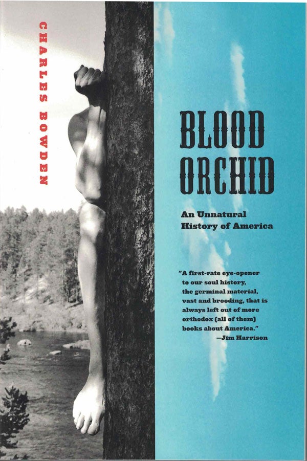 Item #3126 Blood Orchid; An Unnatural History of America. Charles Bowden.