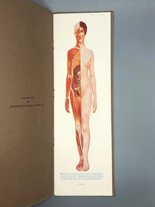 Portfolio of Anatomical Manikins