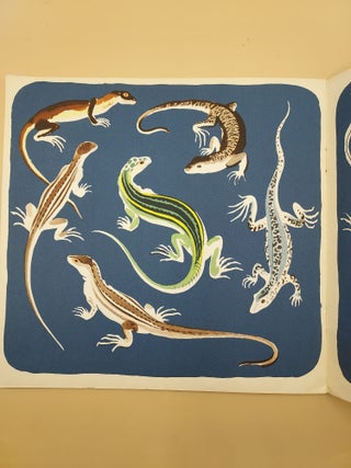 Nouvelles Images a Colorier: Reptiles. Collection Du Père Castor (New Pictures for Coloring: Reptiles)