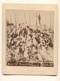 Item #42549 Raven Hill Mining Co. Dakota Girl Mine. Colorado. Cabinet card