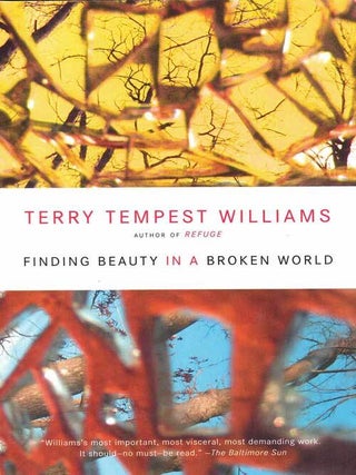 Item #43170 Finding Beauty in a Broken World. Terry Tempest Williams