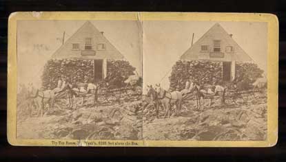 Item #46409 Tip Top House, Mt. Wash'n, 6285 feet above the Sea (Mount Washington State Park, New Hampshire). Stereoview, S. F. Adams.