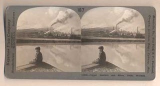 Item #46519 Copper Smelters and Mines, Butte, Montana. 187-(13638). Stereoview