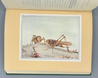 Fabre's Book of Insects Retold from Alexander Teixeira De Mattos' Translation of Fabre's "Souvenirs Entomologiques" by Mrs. Rodolph Stawell