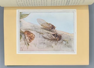 Fabre's Book of Insects Retold from Alexander Teixeira De Mattos' Translation of Fabre's "Souvenirs Entomologiques" by Mrs. Rodolph Stawell