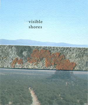 Item #51483 Invisible Shores. Danielle Dubrasky