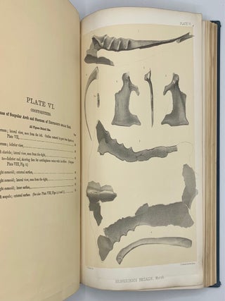 Report of the United States Geological Exploration of the Fortieth Parallel Made by Order of the Secretary of War According to Acts of Congress of March 2, 1867, and March 3, 1869, Under the Direction of Brig. and Bvt. Major General A. A. Humphreys, Chief of Engineers, By Clarence King, U. S. Geologist (Volumes I-VII); Atlas Accompanying Volume III on Mining Industry