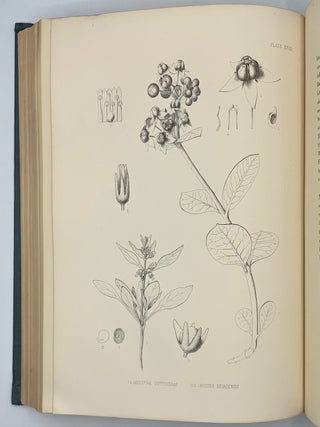 Report of the United States Geological Exploration of the Fortieth Parallel Made by Order of the Secretary of War According to Acts of Congress of March 2, 1867, and March 3, 1869, Under the Direction of Brig. and Bvt. Major General A. A. Humphreys, Chief of Engineers, By Clarence King, U. S. Geologist (Volumes I-VII); Atlas Accompanying Volume III on Mining Industry