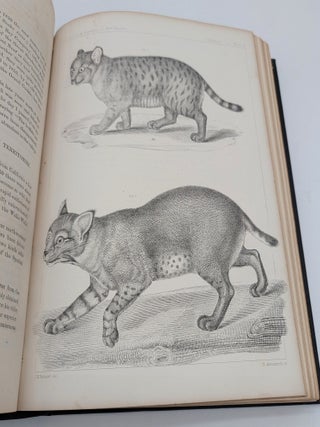 Report of Explorations and Surveys, to Ascertain the Most Practicable and Economical Route for a Railroad from the Mississippi River to the Pacific Ocean; [Together with] General Report, Washington, D.C., 1857-1860 (14 books)