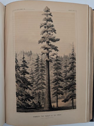 Report of Explorations and Surveys, to Ascertain the Most Practicable and Economical Route for a Railroad from the Mississippi River to the Pacific Ocean; [Together with] General Report, Washington, D.C., 1857-1860 (14 books)