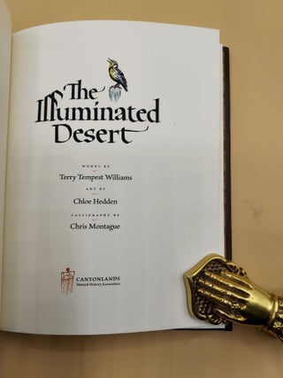 The Illuminated Desert