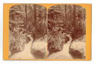 Item #57922 The Jungle: Views on Mamie's Creek. John Karl Hillers, Jack, John Wesley Powell