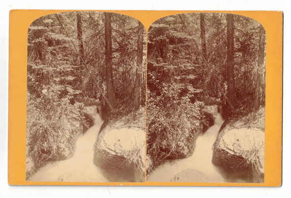 Item #57922 The Jungle: Views on Mamie's Creek. John Karl Hillers, Jack, John Wesley Powell.