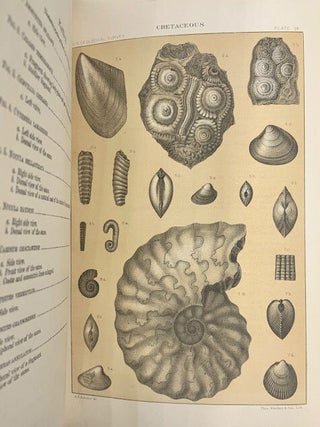 United States Geological and Geographical Surveys of the Territories (Hayden Survey) / Together with Geological and Geographical Atlas of Colorado and Portions of Adjacent Territory by F.V. Hayden U.S. Geologist (Julius Bien, Second Edition, 1881)