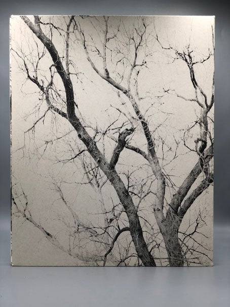 New York Arbor by Mitch Epstein on Ken Sanders Rare Books