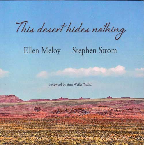 Item #58517 This Desert Hides Nothing. Ellen Meloy, Stephen Strom, Ann Weiler Walka, photography, Foreword.