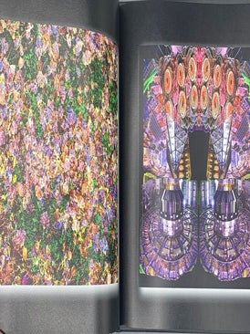 The Ant Opera: A Collection of Set Designs Created by Trent Harris