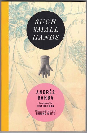 Item #58677 Such Small Hands. Andrés Barba, Lisa Dillman, Edmund White, afterword