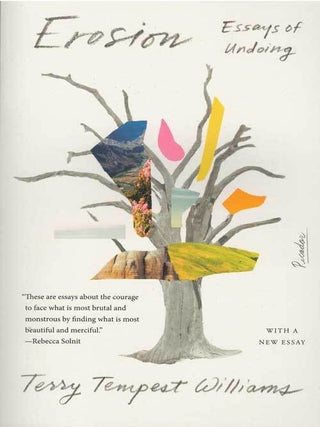 Item #59036 Erosion: Essays of Undoing. Terry Tempest Williams