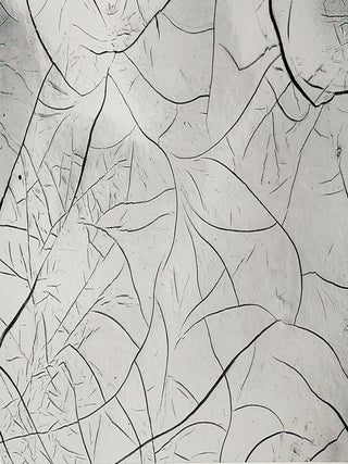 Brett Weston: Photographs