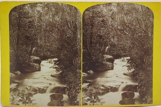 Item #63262 31 Powell Survey (1875) Stereoview Photographs. Jack Hillers