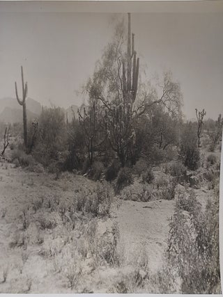 Isleta, New Mexico. 3 Photographs.