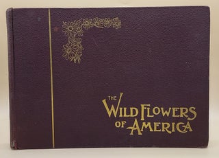 Item #63850 Wild Flowers of America: Botanical Fine Art Weekly. Botany
