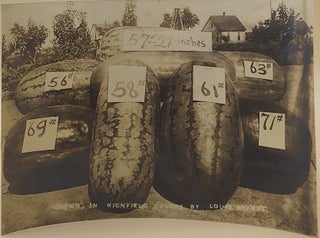 Item #64187 Grown in Richfield Colony by Louis Brandt [Watermelons]. Photograph