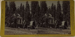 Item #64329 California - Big Trees. No. 1093. Stump House and But-end of Original Big Tree, diam....