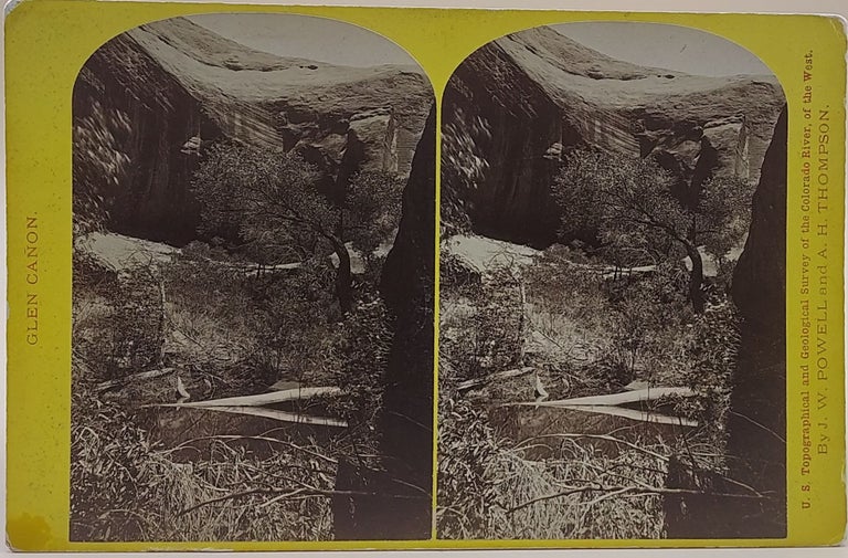 Item #64485 Spring Glen. Glen Cañon. No. 155 (U.S. Topographical and Geological Survey of the Colorado River, of the West). John Wesley Powell, A. H. Thompson.