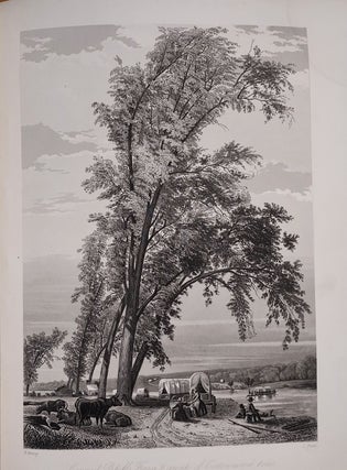 Route from Liverpool to Great Salt Lake Valley illustrated with steel engravings and wood cuts from sketches made by Frederick Piercy. Together with a geographical and historical description of Utah, and a map of the overland routes to that territory from the Missouri River. Also, an authentic history of the Latter-day Saints' emigration from Europe from the commencement up to the close of 1855, with statistics.
