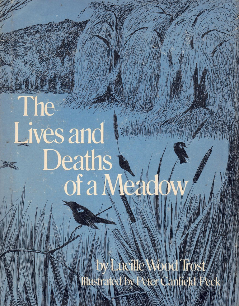 Item #65192 The Lives and Deaths of a Meadow. Lucille Wood Trost.