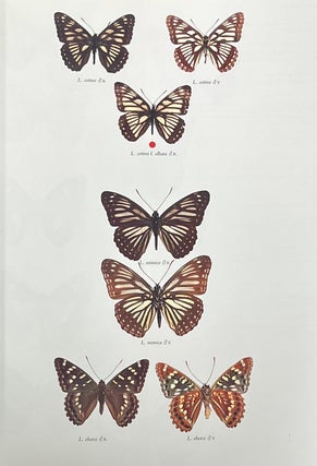Butterflies of the Holarctic Region (3 Volumes)