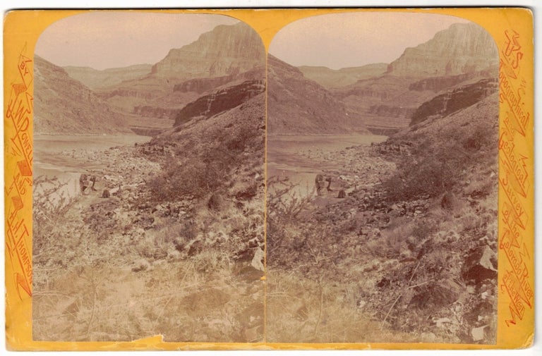 Item #65353 A Little Vegetation (U.S. Topographical and Geological Survey of the Colorado River of the West). John Wesley Powell, A. H. Thompson.