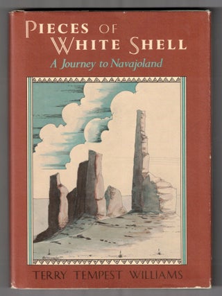 Pieces of White Shell