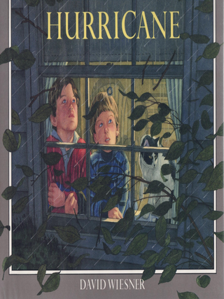 Item #65723 Hurricane. David Wiesner