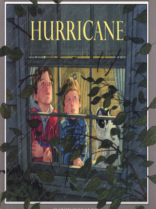 Item #65725 Hurricane. David Wiesner