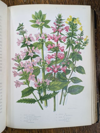 The Flowering Plants and Ferns of Great Britain; The British Grasses and Sedges; The Ferns of Great Britain and Their Allies. The Club-Mosses, Pepperworts, and Horsetails (7 volumes)