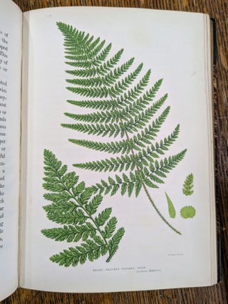The Flowering Plants and Ferns of Great Britain; The British Grasses and Sedges; The Ferns of Great Britain and Their Allies. The Club-Mosses, Pepperworts, and Horsetails (7 volumes)