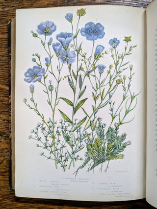 The Flowering Plants and Ferns of Great Britain; The British Grasses and Sedges; The Ferns of Great Britain and Their Allies. The Club-Mosses, Pepperworts, and Horsetails (7 volumes)