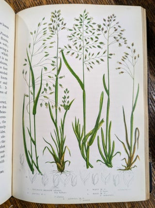 The Flowering Plants and Ferns of Great Britain; The British Grasses and Sedges; The Ferns of Great Britain and Their Allies. The Club-Mosses, Pepperworts, and Horsetails (7 volumes)