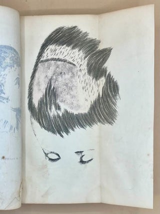 A Practical Treatise on the Diseases of the Skin, Arranged With a View to Their Constitutional Causes and Local Characters