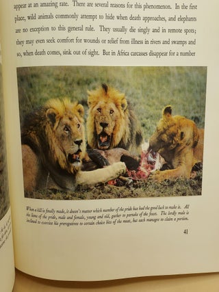 Walt Disney's African Lion (A True-Life Adventure)