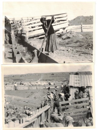 Navajos. 28 Photographs of Daily Life