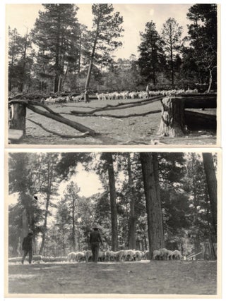 Navajos. 28 Photographs of Daily Life