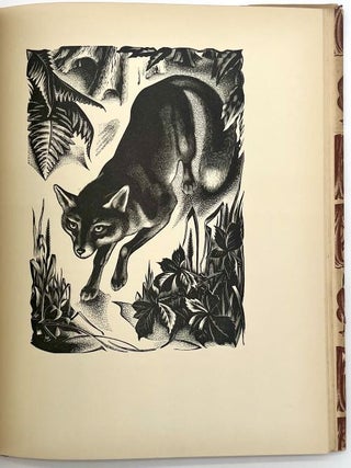 Through the Woods: The English Woodland - April to April
