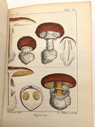 Histoire Naturelle de Buffon, classée par ordres, genres et espèces, d'après le systême de Linné; Avec les Caractères Génériques et la nomenclature Linnéenne; Par René-Richard Castel, auteur du poëme des Plantes (80 volumes)